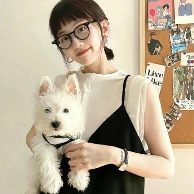 阿玛迪斯